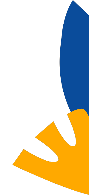 winners-container-background-1